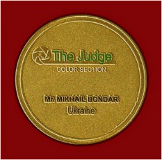 Medal_Judge-2